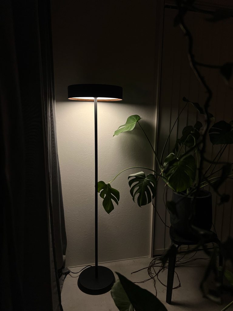 下向きのみの光を使って間接照明のように